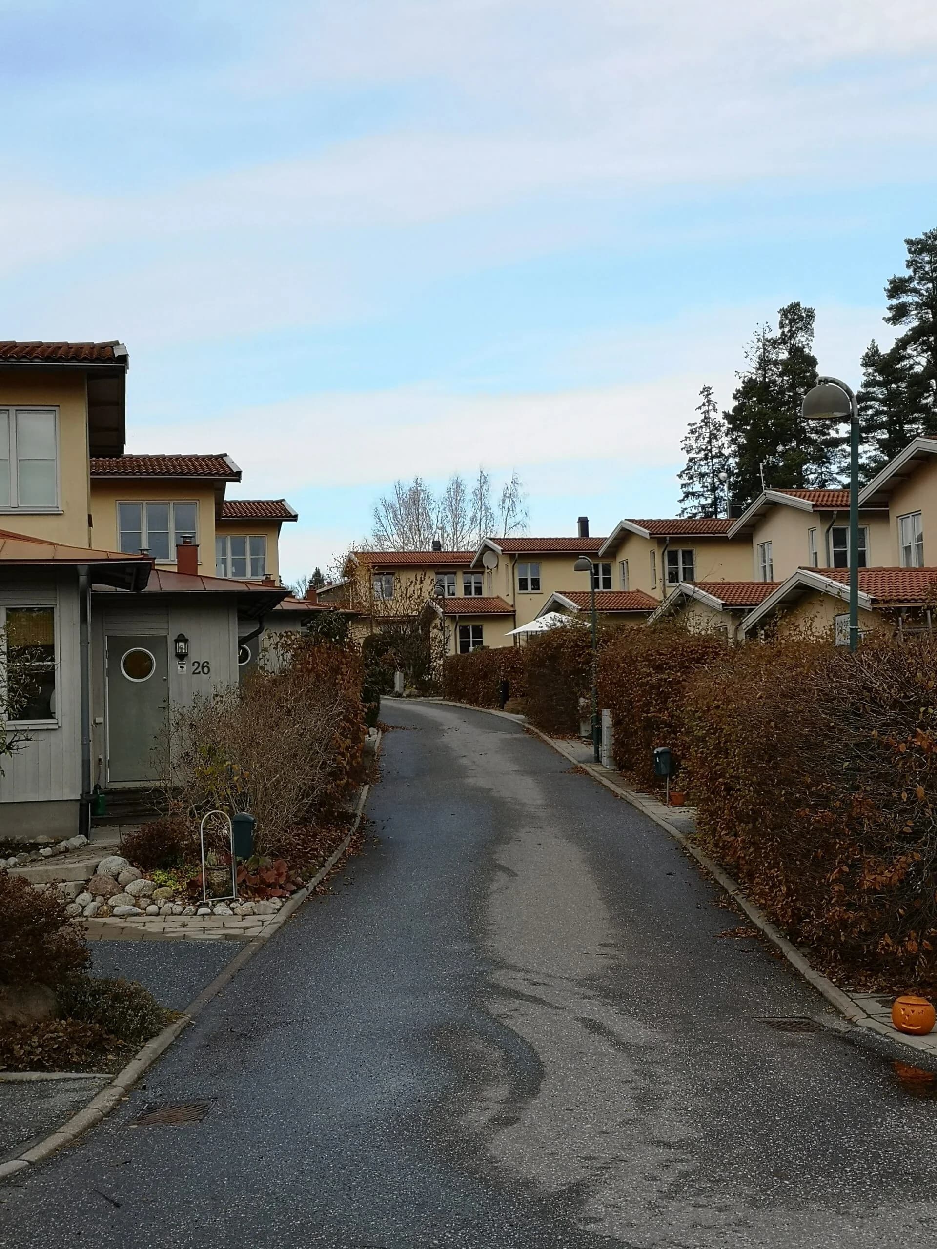 Residential street with houses